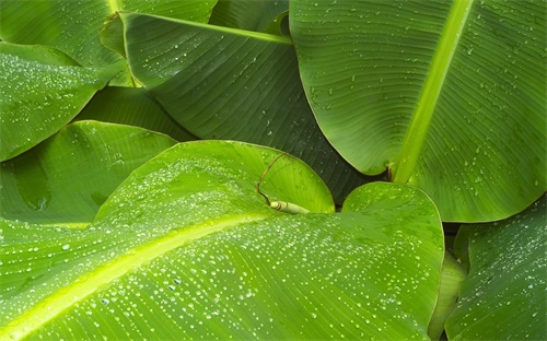 水文地质与工程